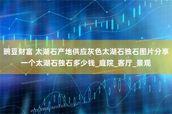 豌豆财富 太湖石产地供应灰色太湖石独石图片分享一个太湖石独石多少钱_庭院_客厅_景观
