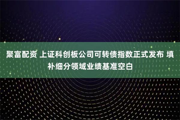 聚富配资 上证科创板公司可转债指数正式发布 填补细分领域业绩基准空白